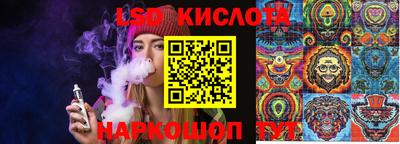 твердый Будённовск