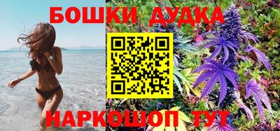 твердый Будённовск