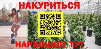 твердый Будённовск