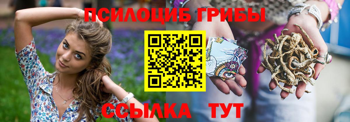 Галлюциногенные грибы мухоморы Заринск