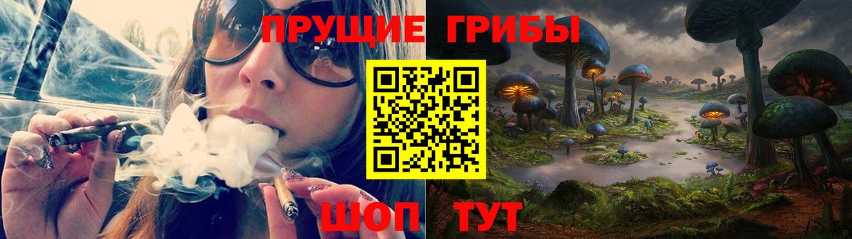Заринск  Галлюциногенные грибы мицелий  Вход с VPN 